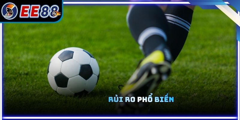 Rủi ro phổ biến